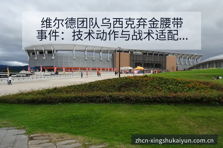 维尔德团队乌西克弃金腰带事件：技术动作与战术适配深度解析 - 开云